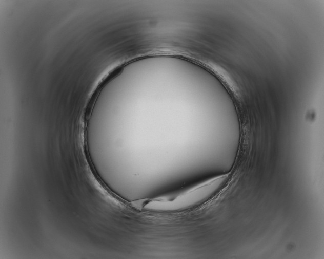 X0000099941476200806201109
