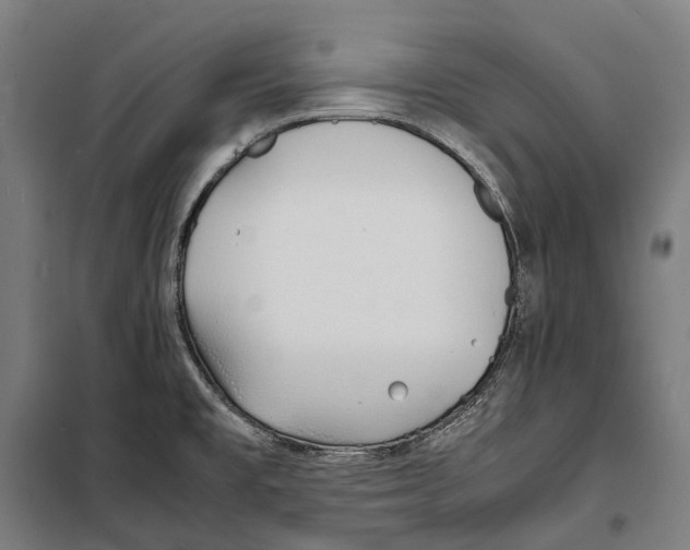 X0000099941477200806201109