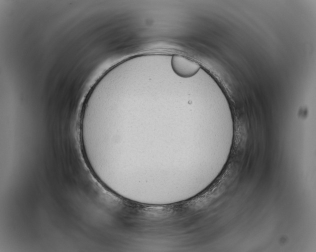 X0000099941478200806201109