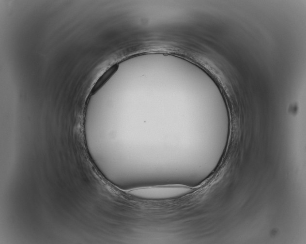 X0000099941481200806201109