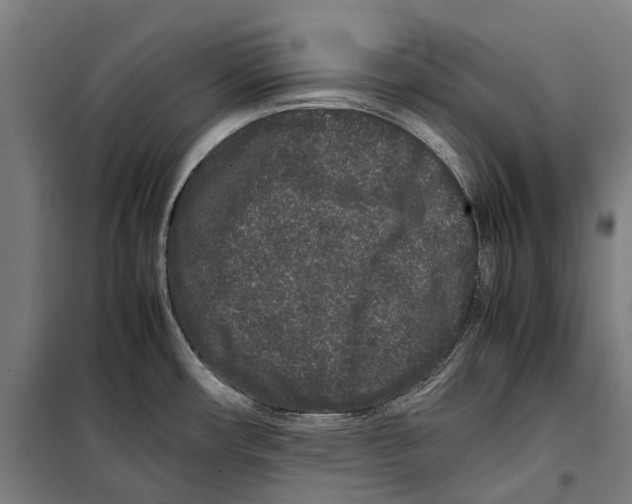 X0000099941482200806201108