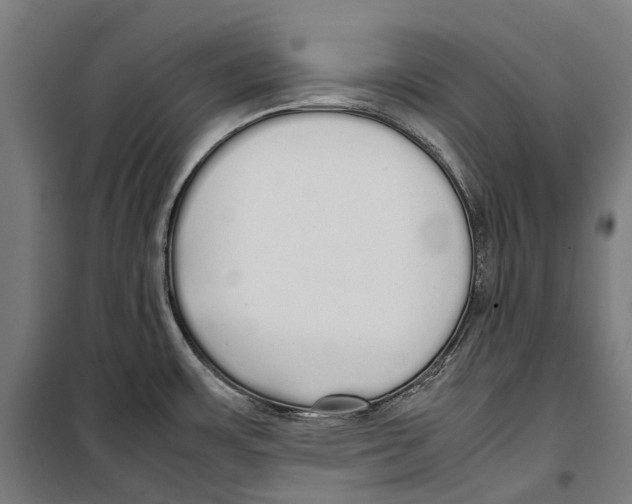 X0000099941483200806201108