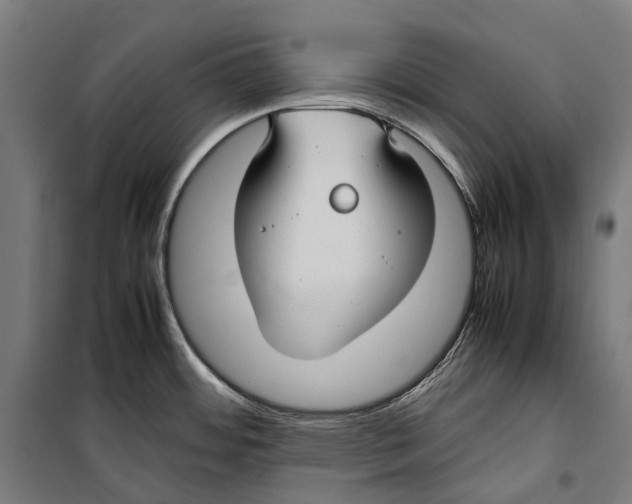 X0000099941484200806201108