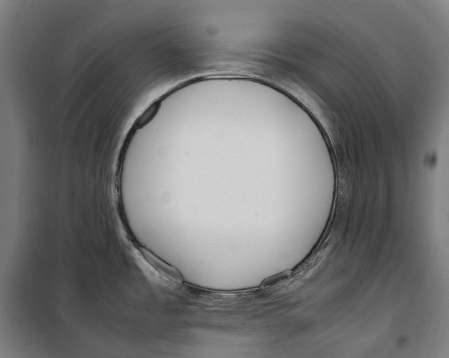 X0000099941485200806201108