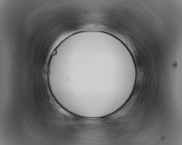X0000099941486200806201108