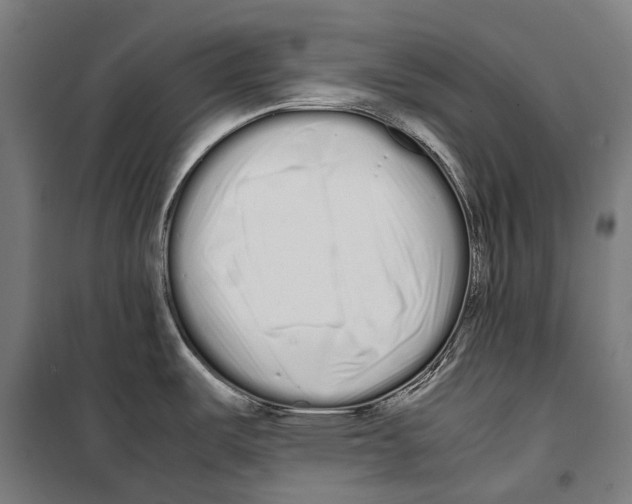 X0000099941487200806201108