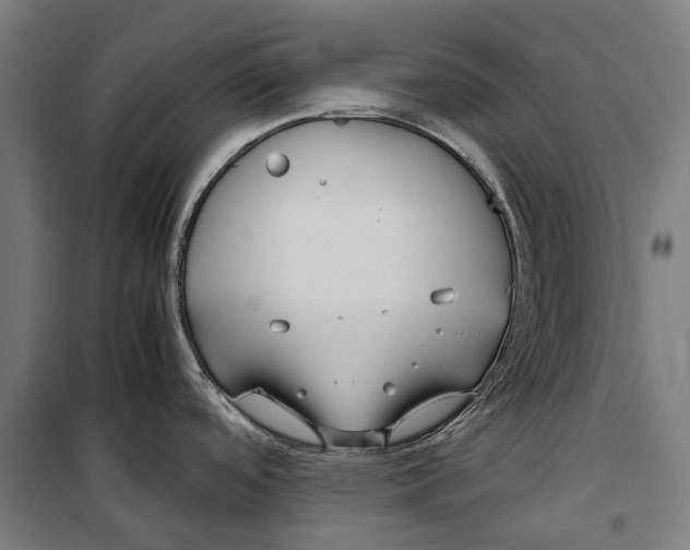 X0000099941488200806201108