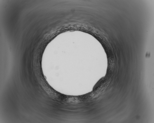 X0000099941489200806201108