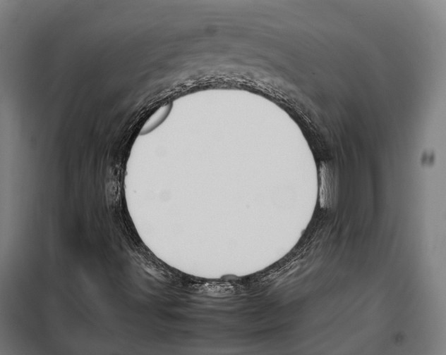 X0000099941491200806201108