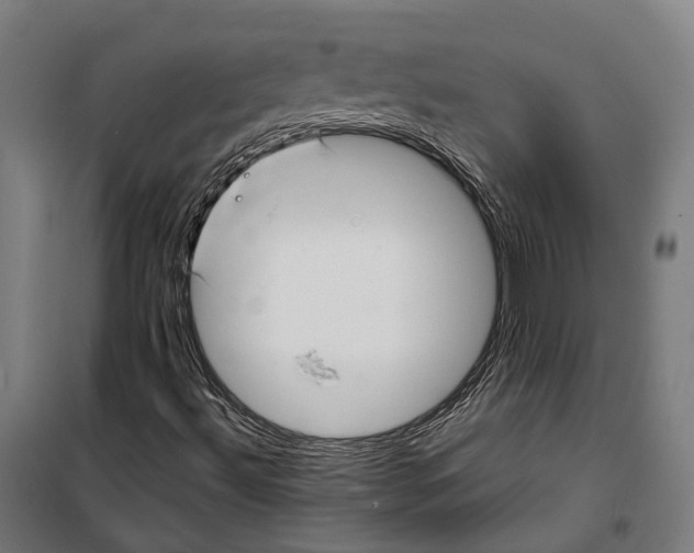 X0000099941492200806201108