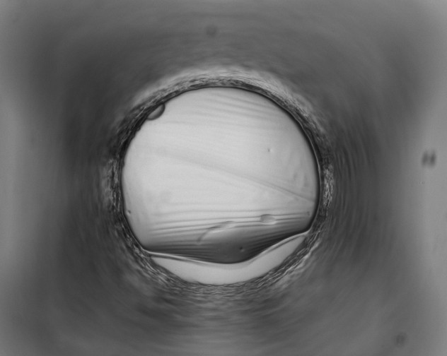 X0000099941494200806201108