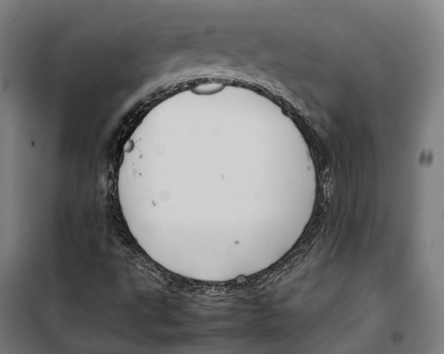 X0000099941495200806201108