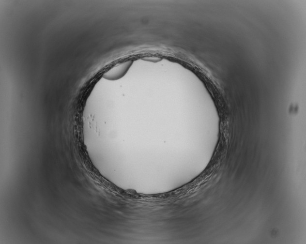 X0000099941496200806201108