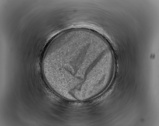 X0000099941497200806201108