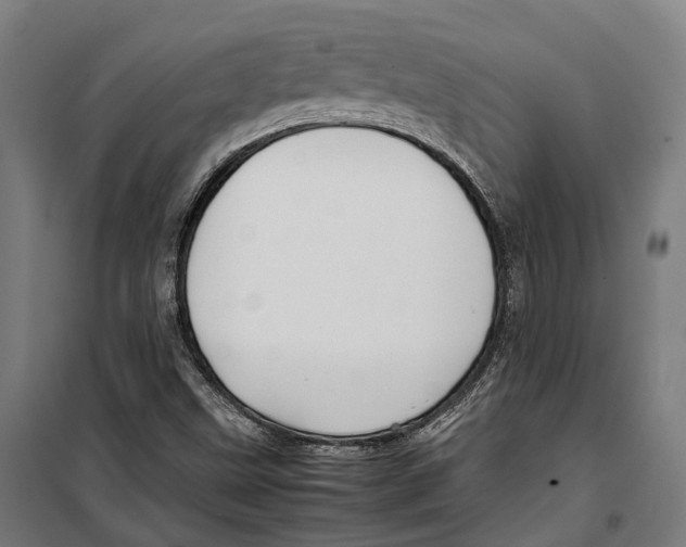 X0000099941499200806201108