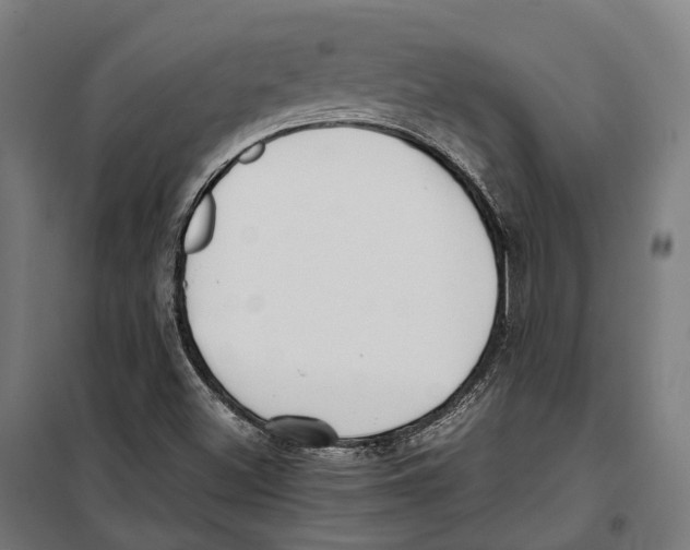 X0000099941500200806201108