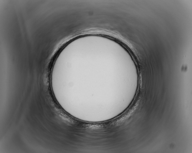 X0000099941501200806201108