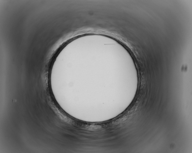 X0000099941503200806201108