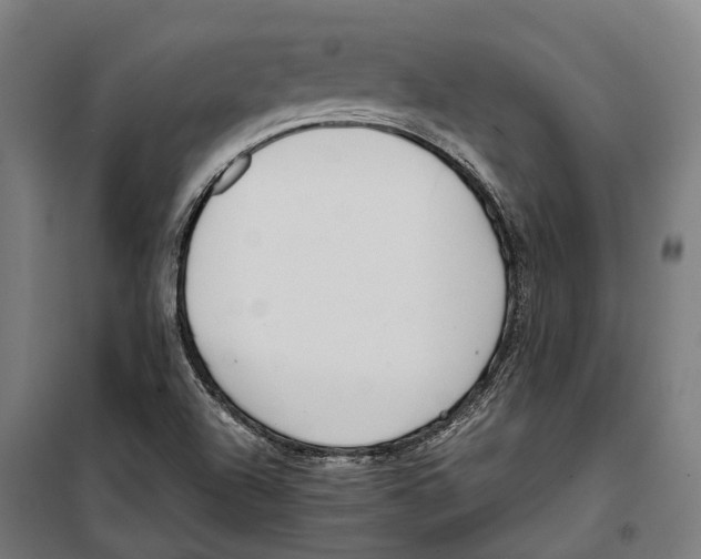X0000099941504200806201108