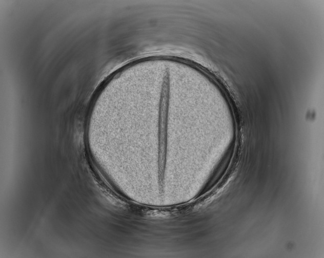 X0000099941505200806201108
