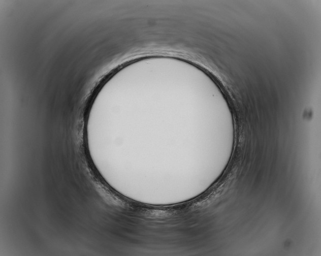 X0000099941507200806201108