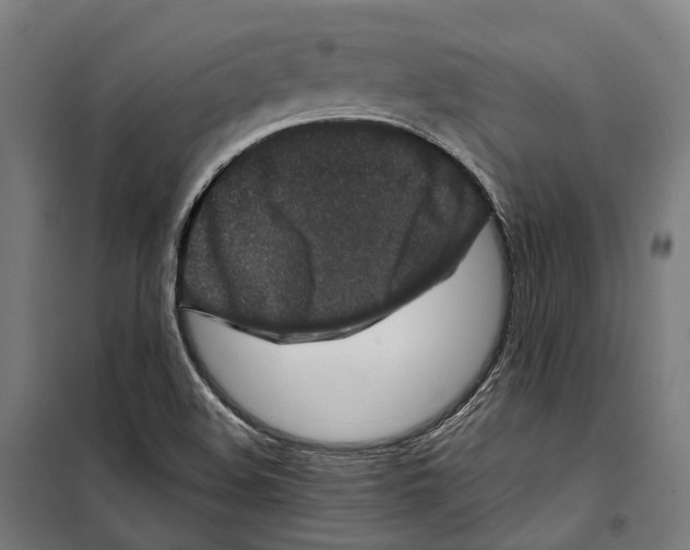 X0000099941508200806201108