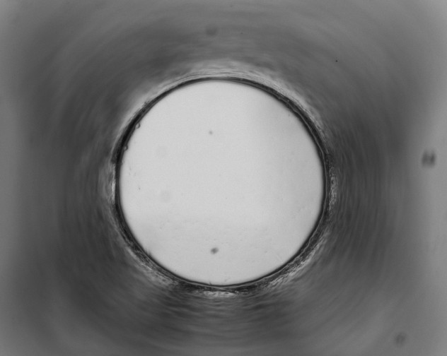 X0000099941509200806201108