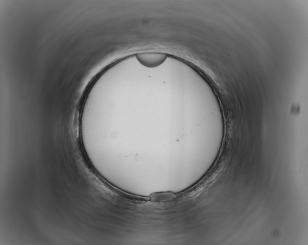 X0000099941510200806201108