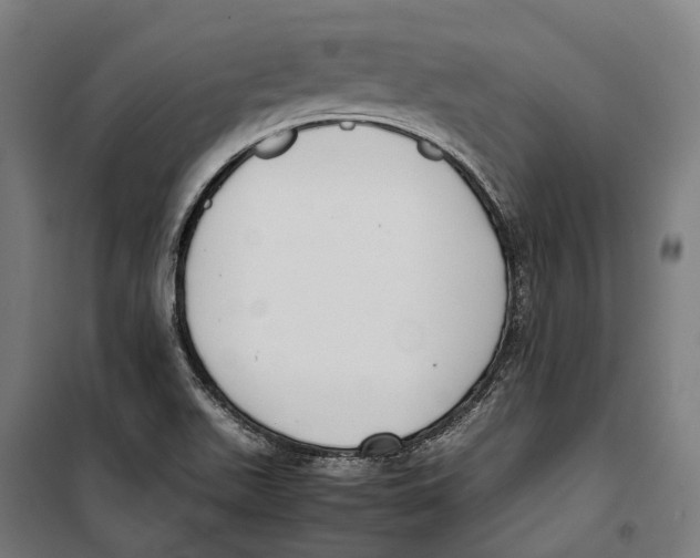 X0000099941511200806201108