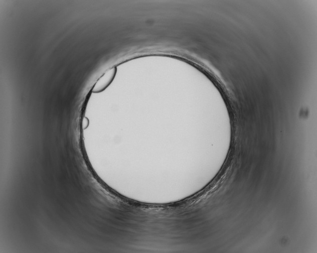 X0000099941512200806201108