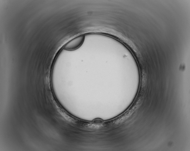 X0000099941513200806201108