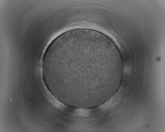 X0000099941514200806201108