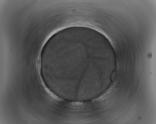 X0000099941515200806201108