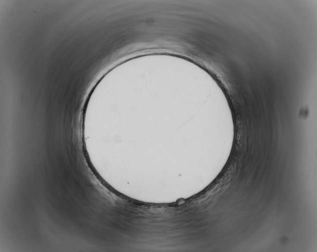 X0000099941516200806201108
