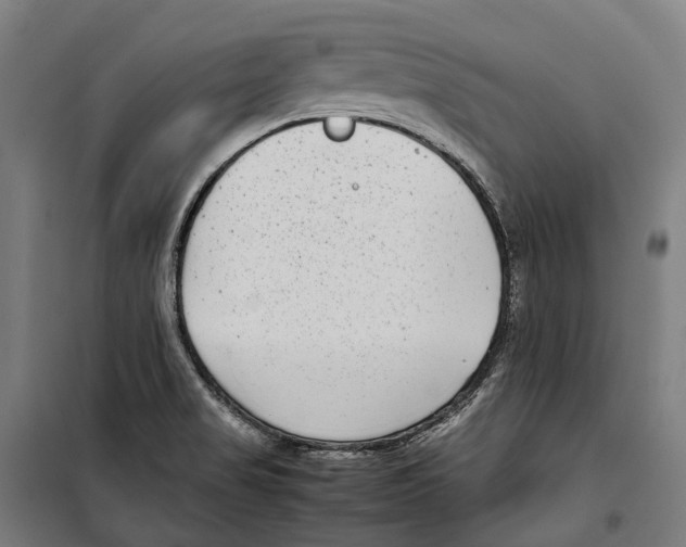 X0000099941517200806201108