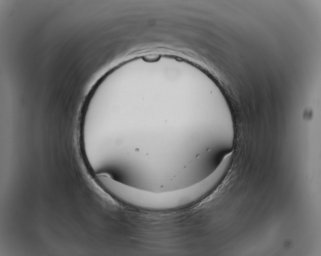 X0000099941518200806201108