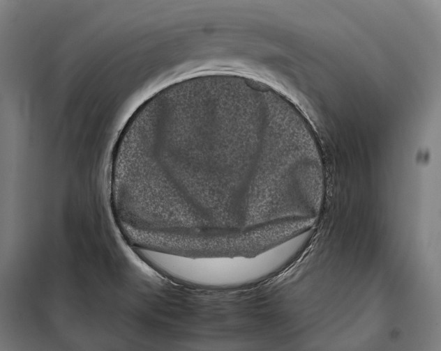 X0000099941519200806201108