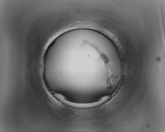 X0000099941520200806201108