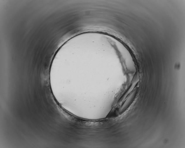 X0000099941521200806201108