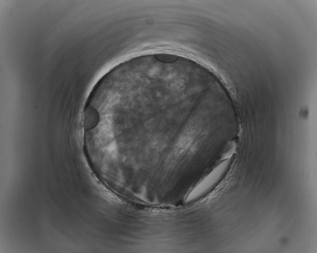 X0000099941522200806201108