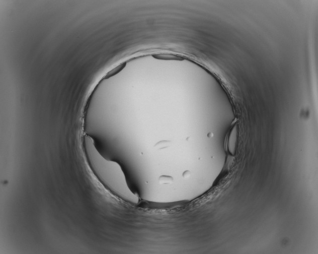 X0000099941524200806201108