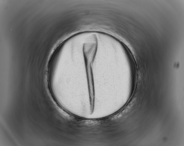 X0000099941525200806201108