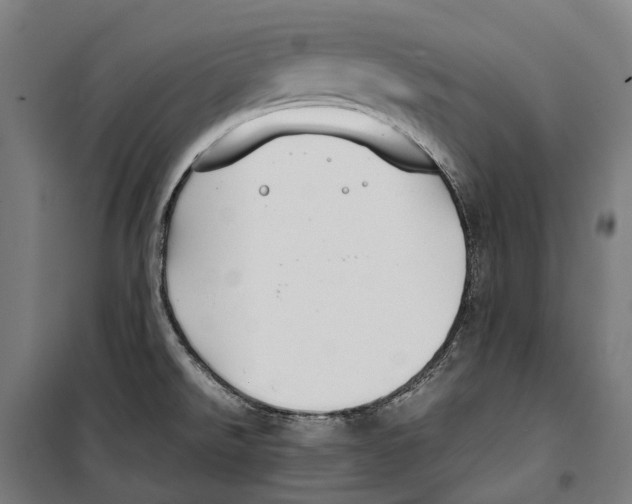 X0000099941526200806201108