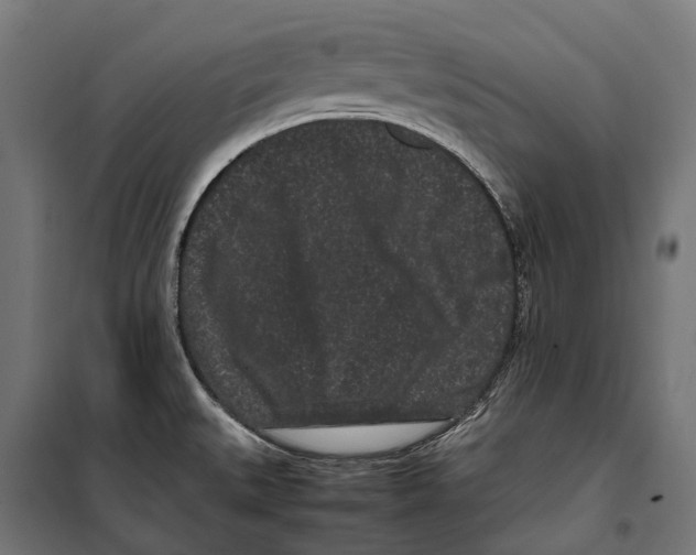 X0000099941527200806201108