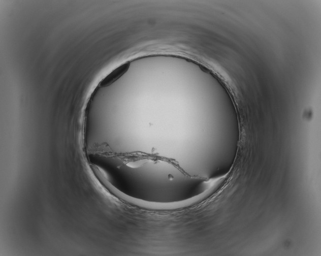 X0000099941528200806201108