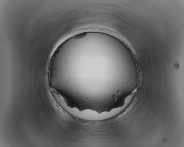 X0000099941530200806201108