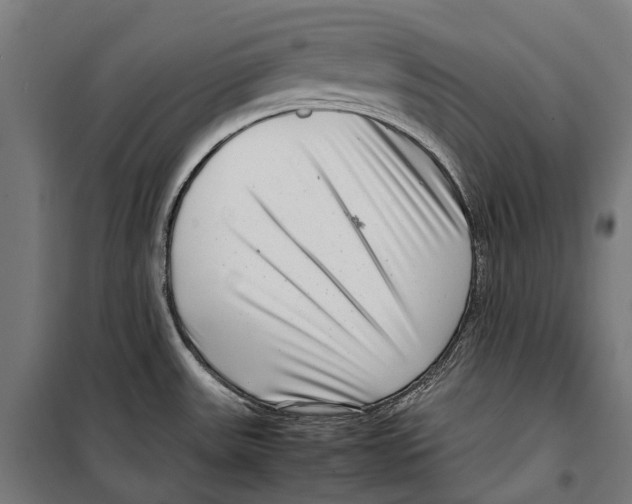 X0000099941531200806201108