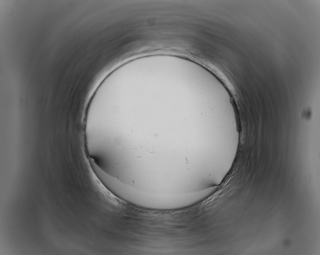 X0000099941532200806201108