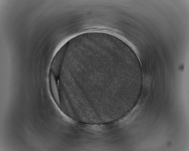 X0000099941533200806201108