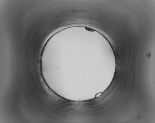 X0000099941534200806201108